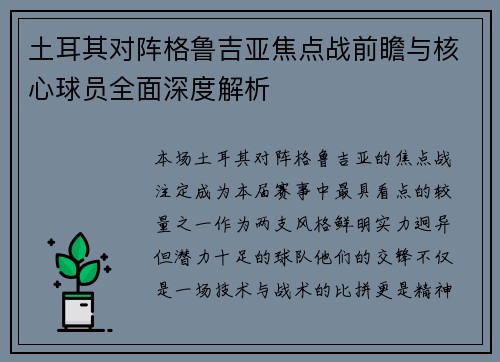 土耳其对阵格鲁吉亚焦点战前瞻与核心球员全面深度解析